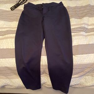 Banana republic dress pant. Navy. Never worn